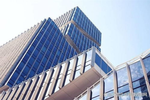 管理咨询服务在教育行业的价值与应用